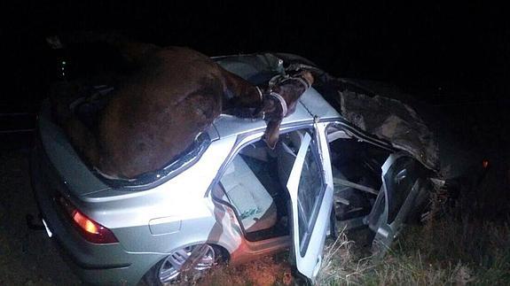 Tres heridos tras colisionar un vehículo con dos mulos en Quintana de la Serena