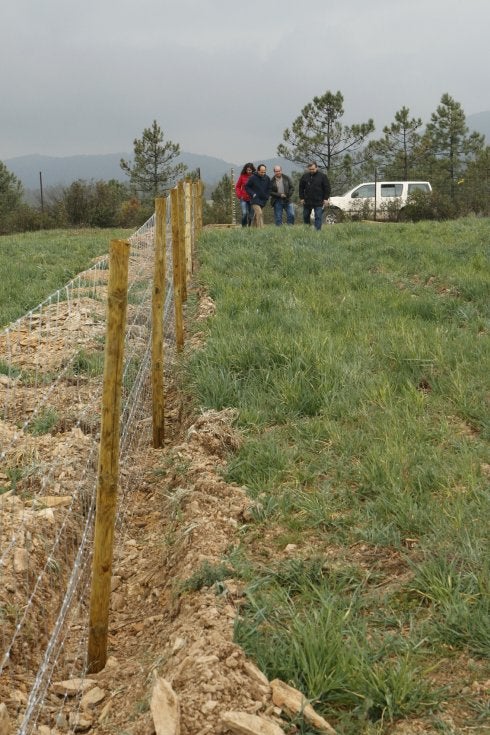 Representantes de la Junta y Red Eléctrica visitan el parque. :: a. s.