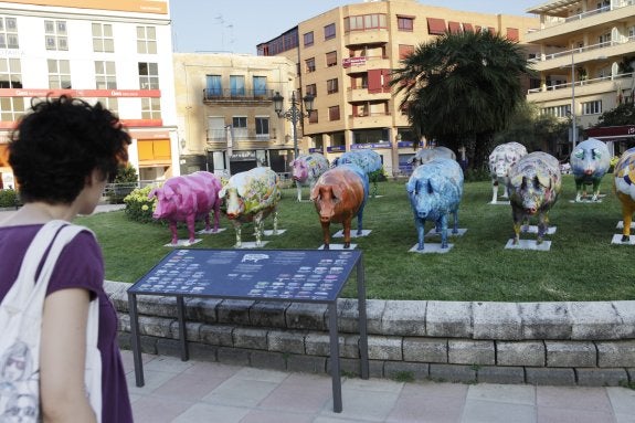 Una piara de guarros de fibra de vidrio en la plaza de San Atón