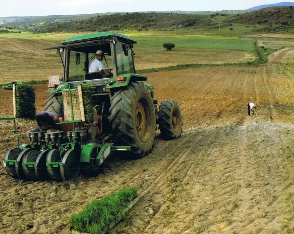 Agricultor trabajando con un tractor en una finca extremeña. :: hoy