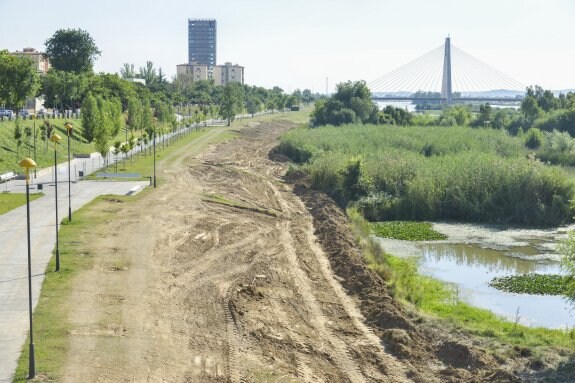 La obra obliga a actuar en una importante franja de terreno del paseo recién inaugurado. :: j. v. arnelas