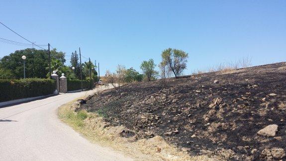 Zona de pastos incendiada la semana pasada en Los Olivos. :: g. c.