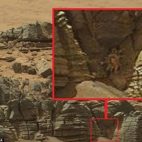 ¿Una de las criaturas de 'Alien' en Marte?