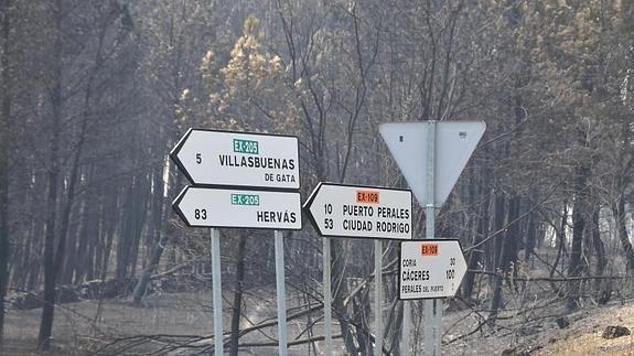 Paraje arrasado por el fuego en un cruce de carreteras de la Sierra de Gata::