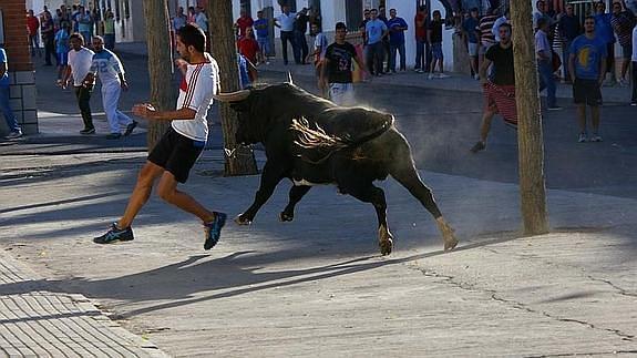 Encierros de Villaseca de la Sagra. / Ayuntamiento de Villaseca