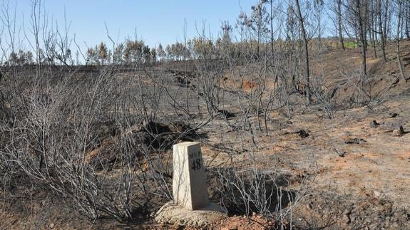 Zonas afectadas por el fuego en la Sierra de Gata