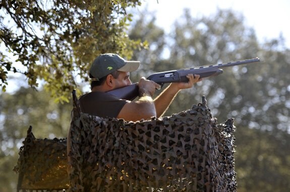 Un cazador dispara desde su puesto en una finca próxima a la localidad pacense de Cheles. :: hoy