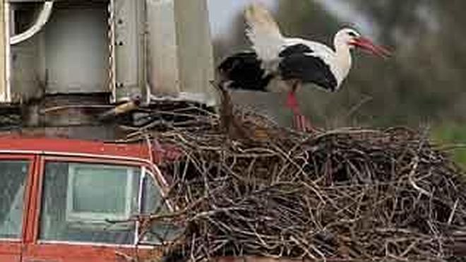 Visitas guiadas al Museo Vostell, todos los miércoles