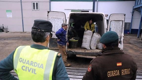 Una patrulla de la guardia rural de Navalvillar de Pela observa como un grupo de rumanos devuelven las aceitunas robadas por ellos en una almazara.