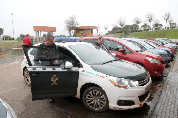 La Guardia Civil ha recuperado 120 toneladas de aceituna robada