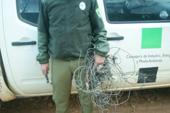 Trampas de cable de acero retiradas en la Reserva de Cijara. :: hoy