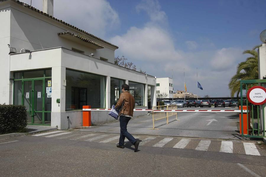 Accesos a la Consejería deMedio Ambiente en Mérida. :: j. m. ROMERO