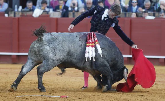 Manuel Escribano torea al natural a 'Cobradiezmos', segundo de los victorinos que ayer le tocó en suerte y al que logró perdonar la vida. :: efe