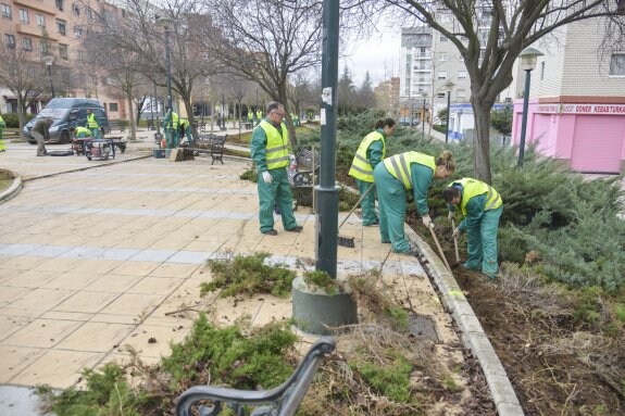 Un grupo de jardineros municipales prepara las zonas verdes del Paseo José Pérez Jiménez. :: hoy