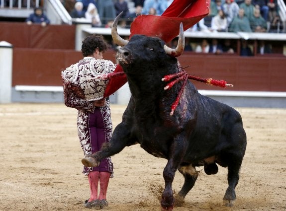 Miguel Abellán da una bernardina al segundo de los de su lote de ayer en Madrid. :: efe