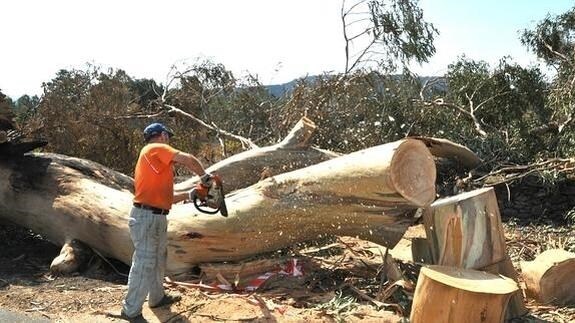 Las obras de emergencia en Sierra de Gata finalizarán este mes