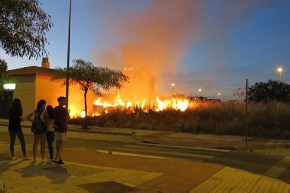 Fuego entre las calles Cardenal Hernández y Salvador Dalí, el domingo. :: j. c. g.