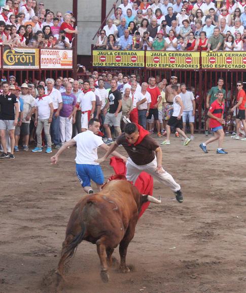 Un recortador salta sobre 'Pardillo':: KARPINT