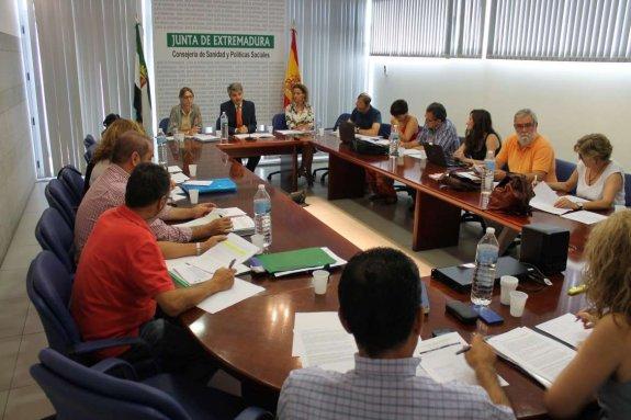Reunión de la mesa sectorial de sanidad, ayer en Mérida. :: hoy