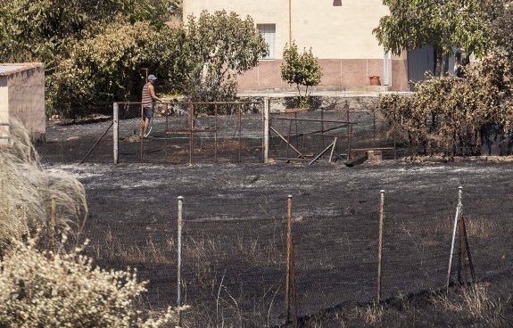 Un vecino riega su parcela, quemada. :: jorge rey