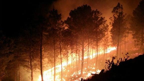 Incendio declarado en la Sierra de Gata el año pasado