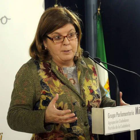 Portavoz del Grupo Parlamentario de Ciudadanos (C's), María Victoria Domínguez