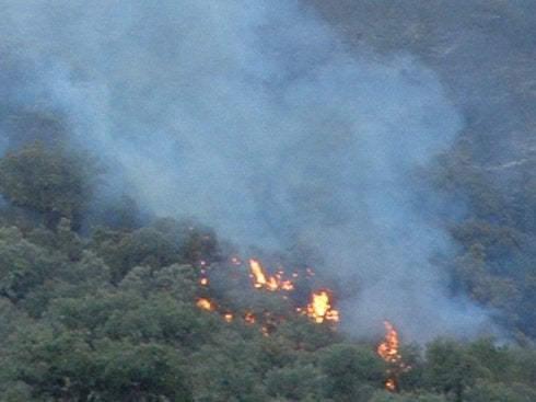 Alía, incendio en 2005. :: hoy