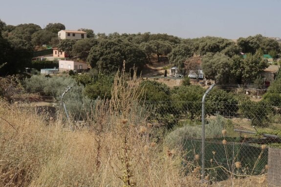 Algunas de las viviendas construidas en terreno no urbanizable junto a La Vinosilla. :: andy solé