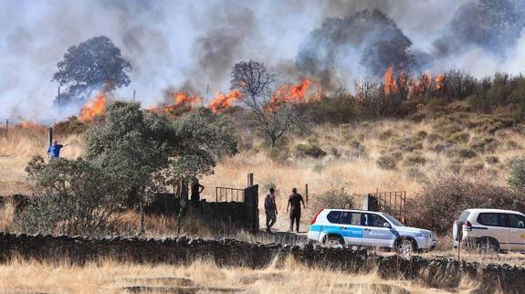 El fuego de Monfragüe quemó pastos y matorral.