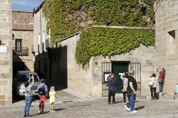 Turistas fotografiando al famoso pavo real 'Curro', estrella del restaurante Torre de Sande. :: armando