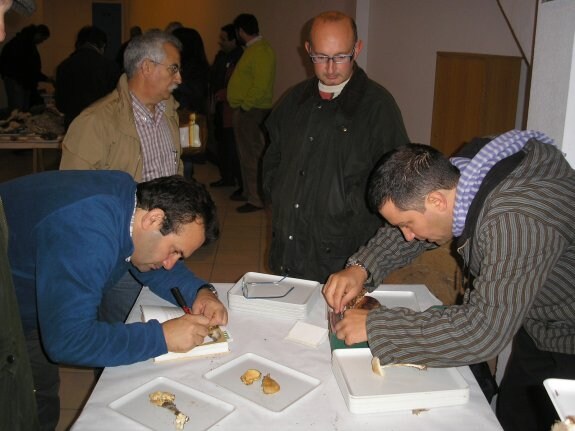 Aficionados examinando muestras de setas tras una salida. :: a.m.