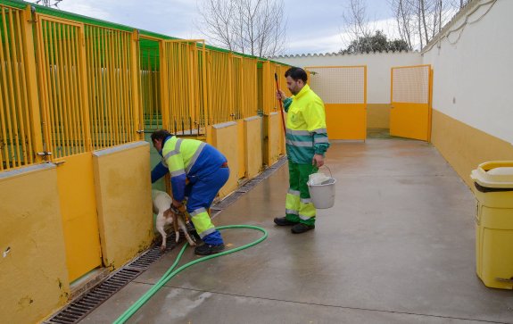 Dos trabajadores de la perrera en las instalaciones. :: c. moreno