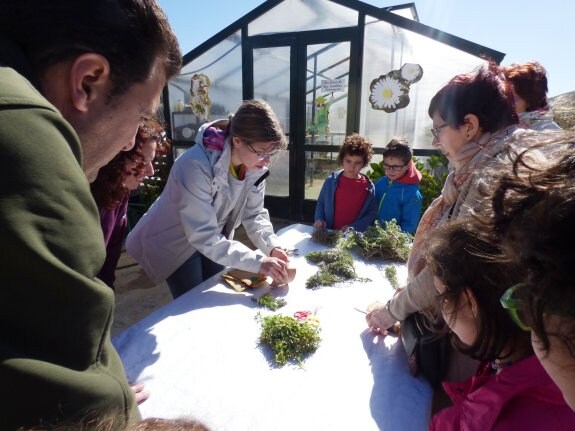 Mayores y pequeños aprenden a reconocer las plantas aromáticas y medicinales. :: mam