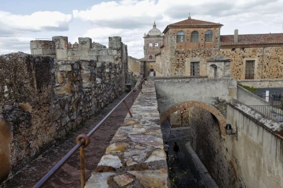 Vista de la muralla y el paso hasta el Palacio de Mayoralgo. :: lorenzo cordero