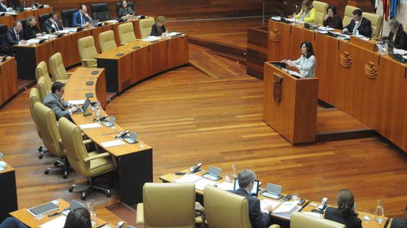 La financiación autonómica centra el debate en el Pleno de la Asamblea