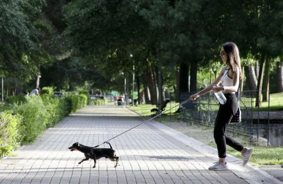 Una joven pasea a su perro por el Parque del Príncipe, ayer por la tarde. :: lorenzo cordero