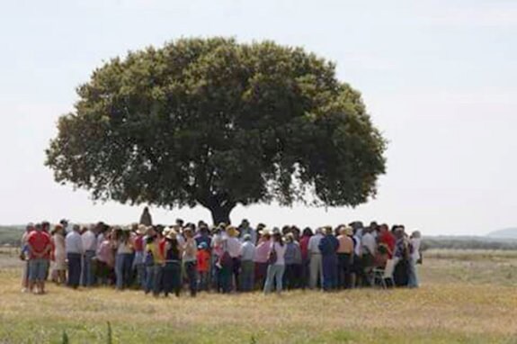 En la romería se celebra una misa con la Imagen, debajo de una encina. :: s.e.