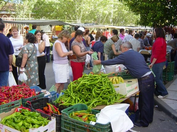 Celebración del mercadillo de Navalmoral. :: m.a.m.