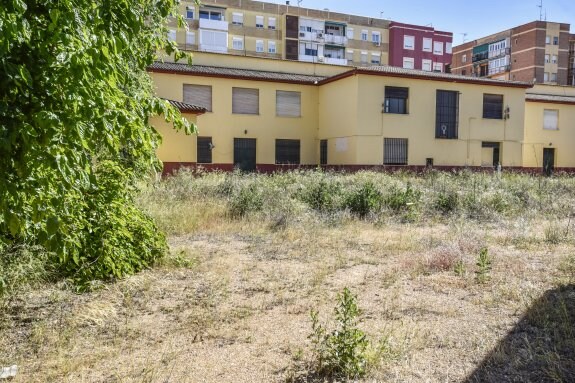 La vegetación invade el patio escolar del antiguo colegio Nuestra Señora de Bótoa. :: j. v. arnelas