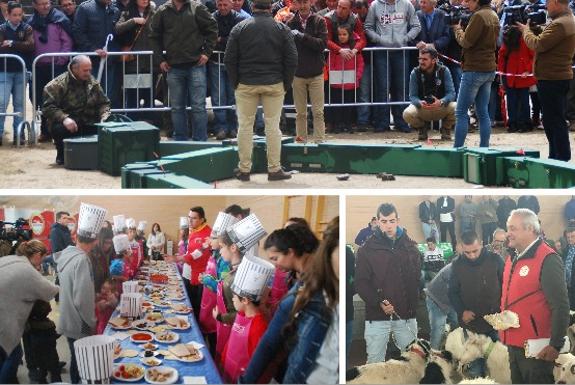 Exhibición de zorros con perros de madriguera, una de las actividades que más público atrajo. :: FEDEXCAZA