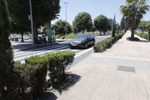 Setos y arbolado. Vista del paso donde murió atropellada una joven en noviembre del pasado año, en la avenida de la Hispanidad, lugar donde hay setos que han sido rebajados y un árbol. :: a. méndez