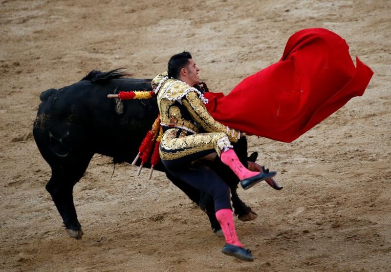 Talavante fue corneado este miércoles en Las Ventas.