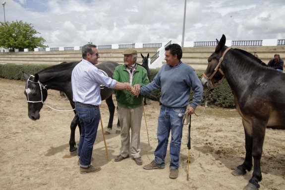 Participantes en la feria de ganado celebrada el año pasado. :: hoy