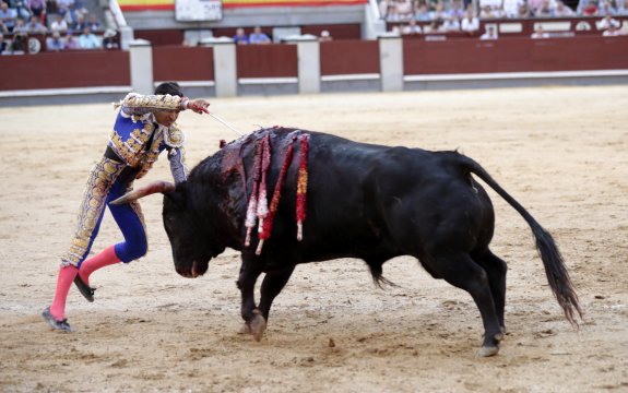 El diestro mexicano Joselito Adame entra a matar sin muleta a su segundo toro. :: efe / zipi