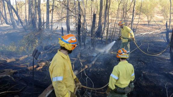 Bomberos forestales extremeños sofocan un incendio el verano pasado. :: 