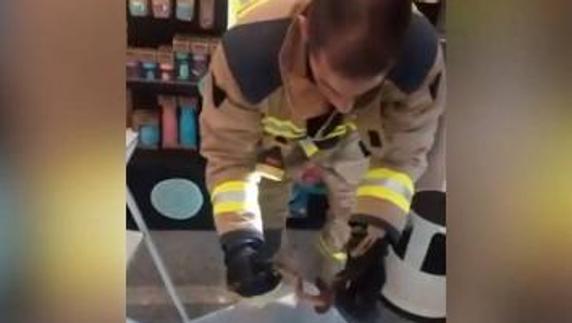 Rescate de una culebra del cajón de una persiana en un local de Badajoz.
