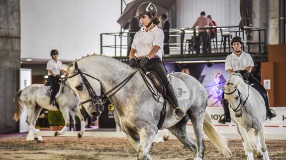 Abre sus puertas la novena edición de la feria del toro y el caballo