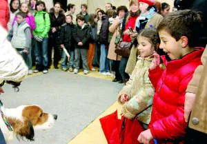 Los perros van de cabalgata