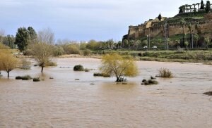 La crecida del Guadiana ha sumergido esta parte del río. :: J.V.A.                                                Xxx. :: XXX