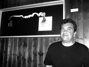 César David expone en María Mandiles. ::                             SALVADOR GUINEA